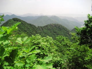 ��P�􂩂�̓W�]